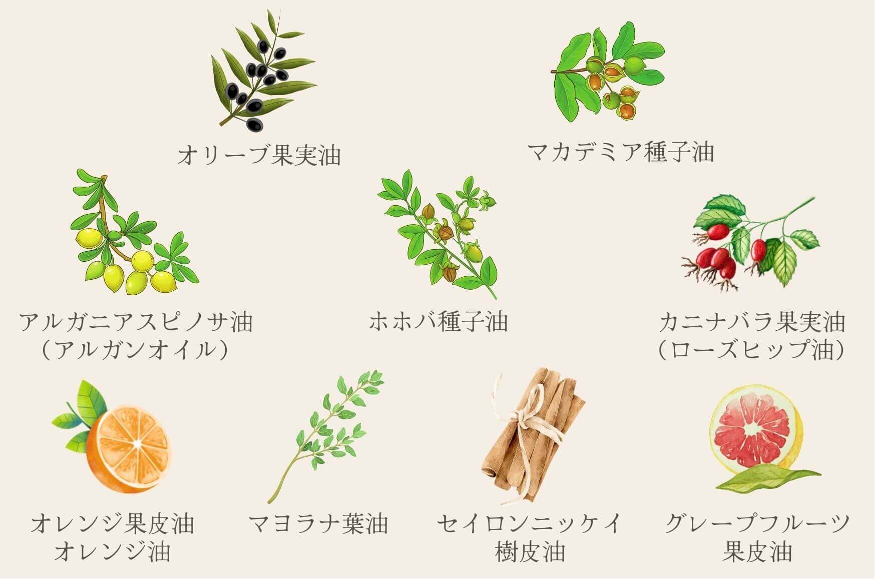 天然植物オイルを10種類配合