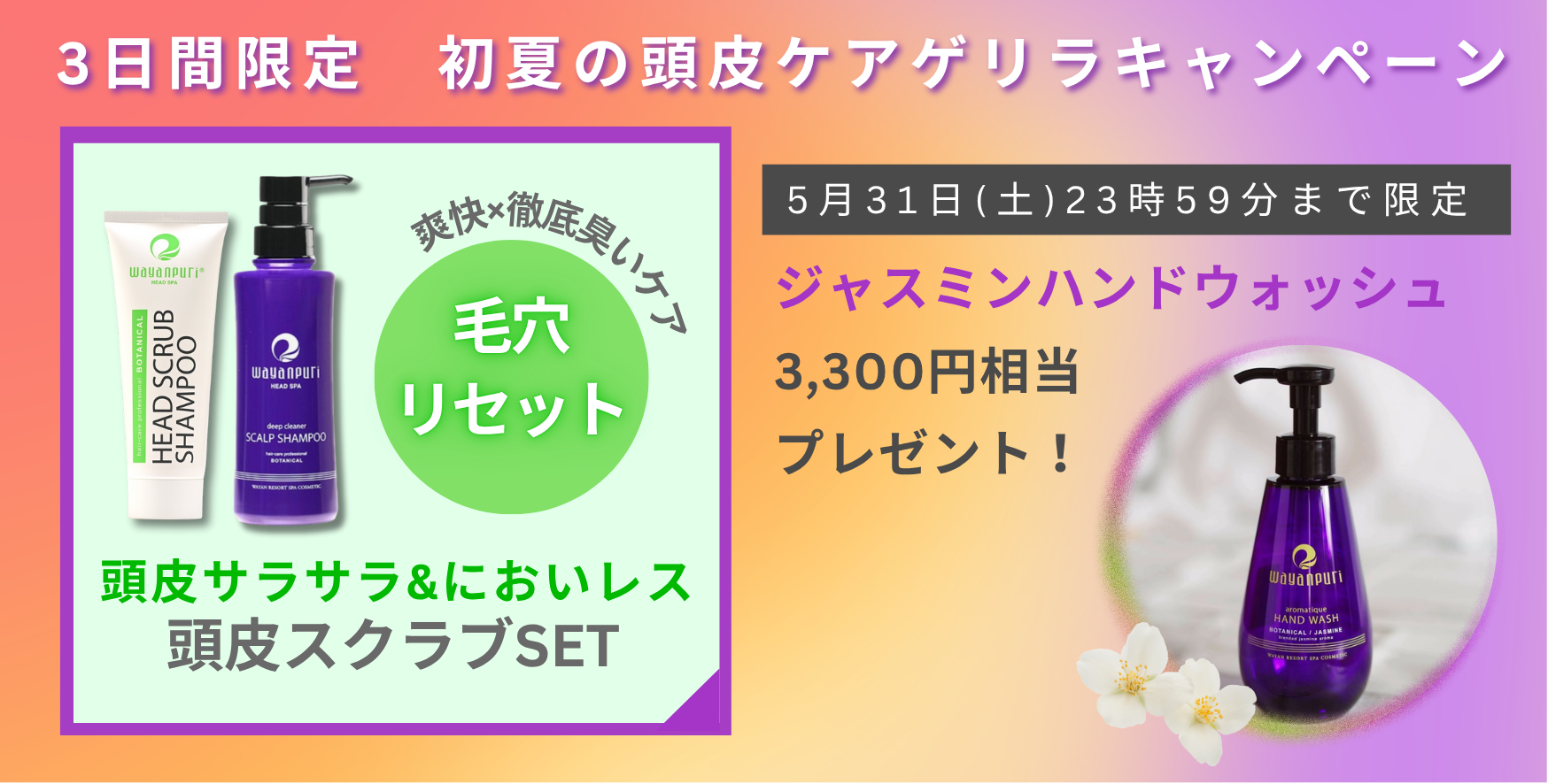 スクラブセット